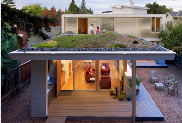 Modern Eco Homes with Green Roof Designs and Rooftop Gardens