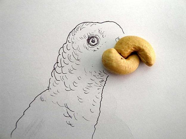 ink drawings decorated with food