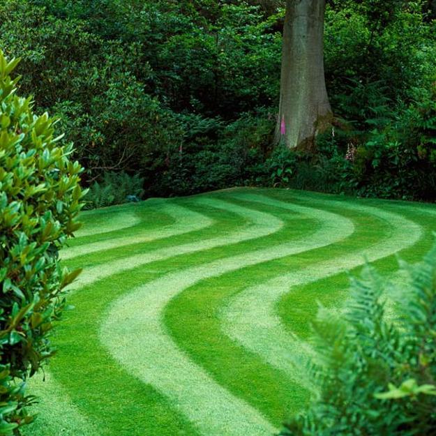 Perfect Green Lawns and Yard Landscaping Ideas in Spring ...