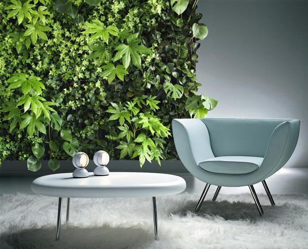 modern interior design and wall decorating with green plants