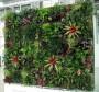 25 Vertical Landscaping Ideas Adding Spectacular Centerpieces to