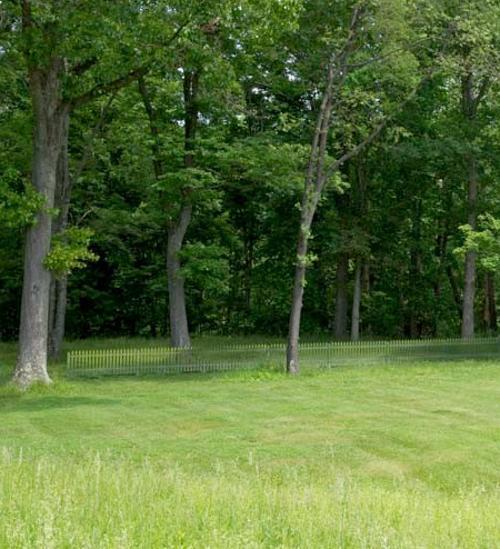 reflective fence, modern landscaping ideas