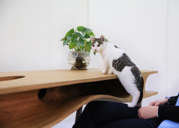 Dual Purpose Modern Table Design Idea Making Cats Happy