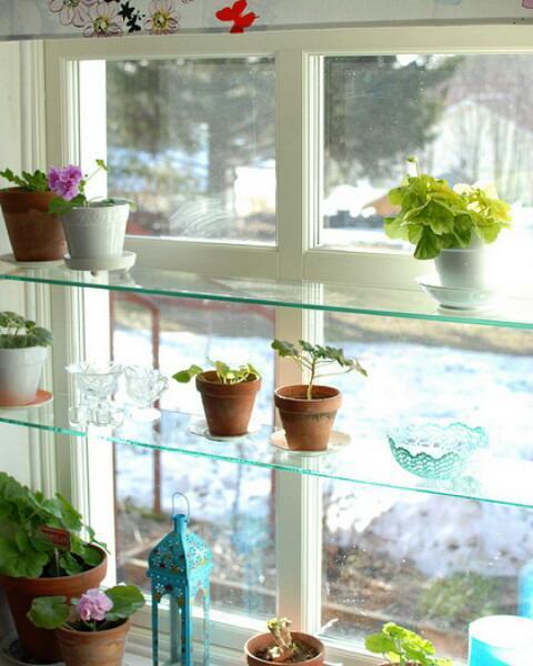 window shelves with house plants and flowers