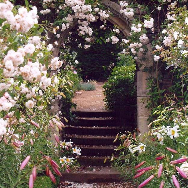 flower arch garden