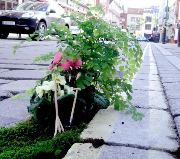 yard landscaping ideas for potholes and cracks