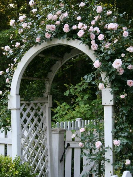 15 Beautiful Wooden Arches Creating Romantic Garden Design