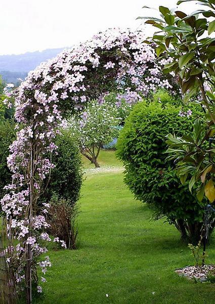 wooden arches and yard landscaping ideas