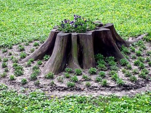 20 root artworks and yard decorations bringing natural