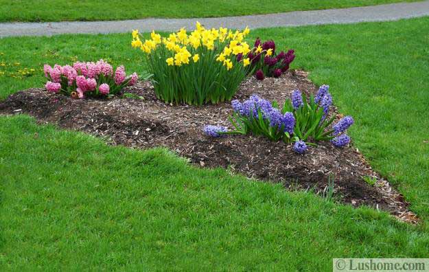 spring garden design ideas, beautiful flowers and flower beds