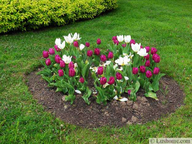 how to decorate flowerbeds with pebbles and rocks