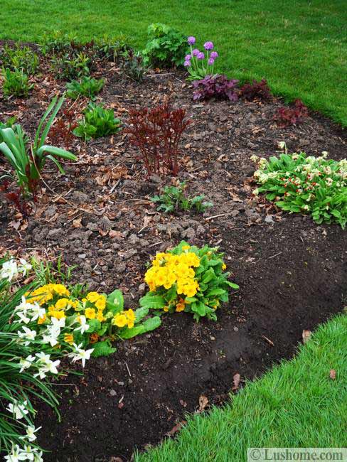 Spring Garden Design, 25 Spring Flower Beds and Yard 