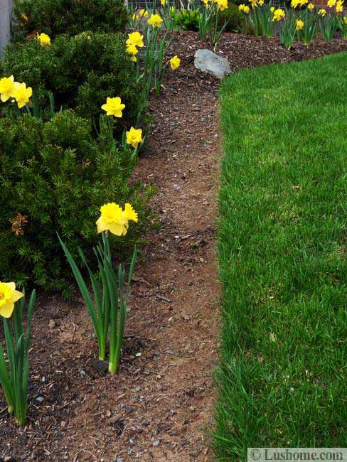 spring garden design, 25 spring flower beds and yard