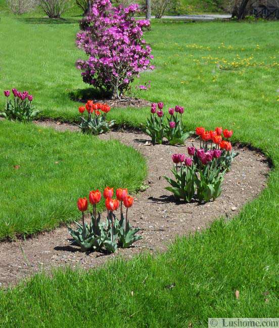 spring garden design and yard landscaping