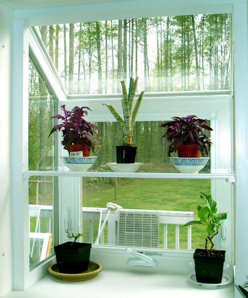 plants window indoor small decorating decor shelves natural rooms room open living space saving plant decoration interior windows kitchen bay