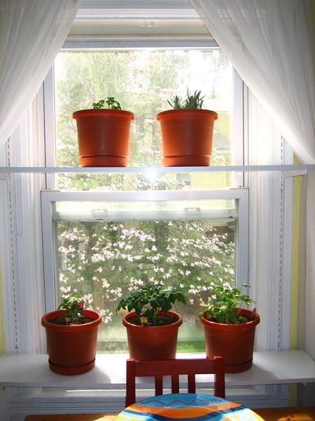 25 Creative Window Decorating Ideas with Open Shelves, Space Saving
