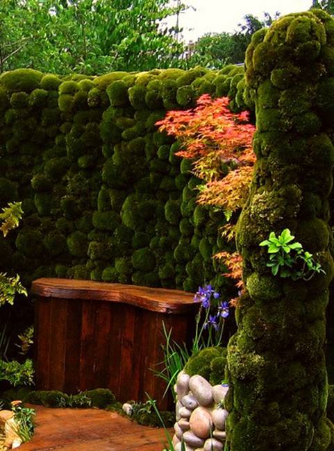 green fence plants landscaping ideas 5