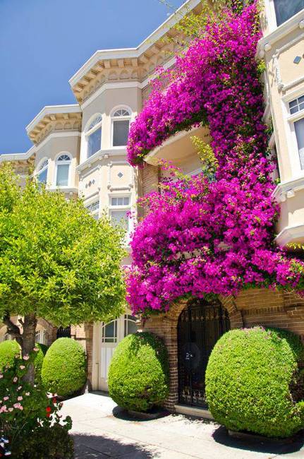 70 Beautiful House Exterior Design and Landscaping Ideas Enhanced by Topiary Art