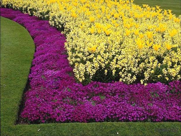 Invisible Flower Bed Borders For Natural And Beautiful Garden Design