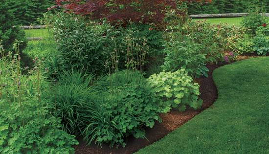 Invisible Flower Bed Borders for Natural and Beautiful Garden Design