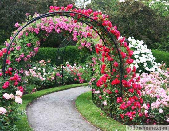 20 Metal Arches and Beautiful Yard Landscaping Ideas
