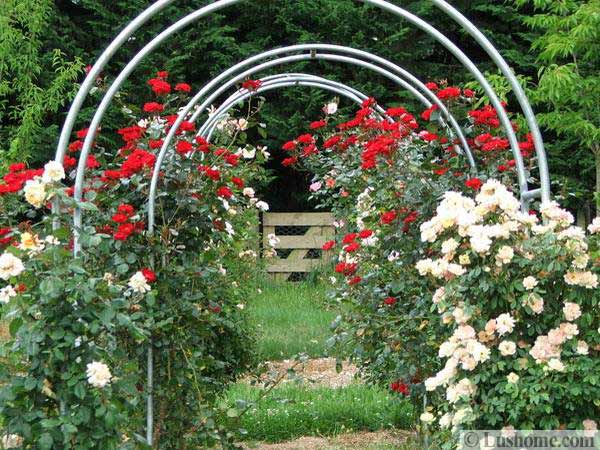 20 Metal Arches and Beautiful Yard Landscaping Ideas