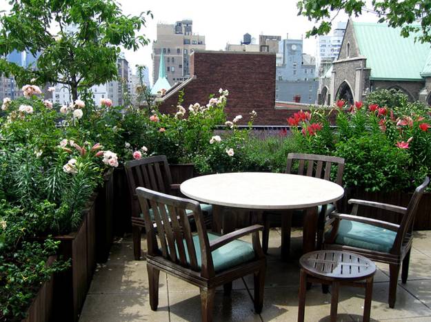 garden plants terrace roof patio grow outdoor seating designs mini its areas should pots growing