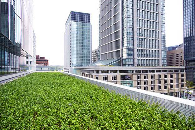 rooftop gardening and green building technology