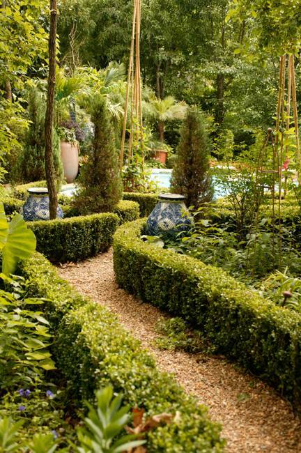 25 and 30 New Topiary Ideas, Great Decorative Plants to ...