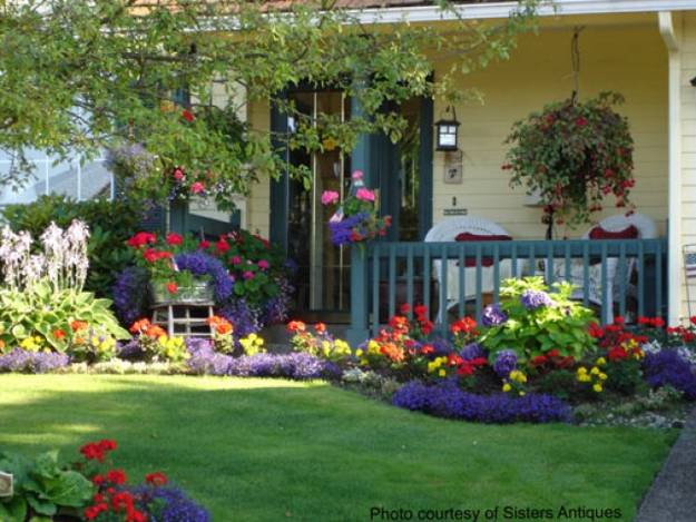 Summer Flowers for Colorful Outdoor Home Decorating