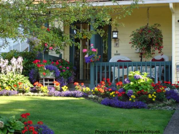 Summer Flowers  for Colorful Outdoor  Home  Decorating 