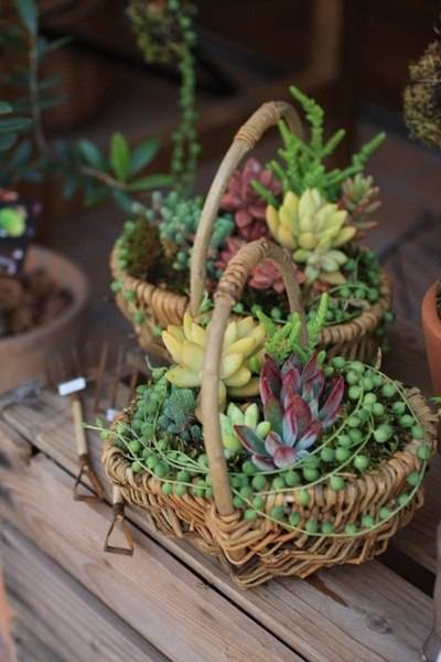 table decorations centerpieces succulents 12