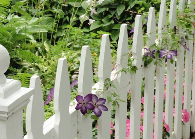 Design Ideas For Your Fence Front Yard And Backyard Designs