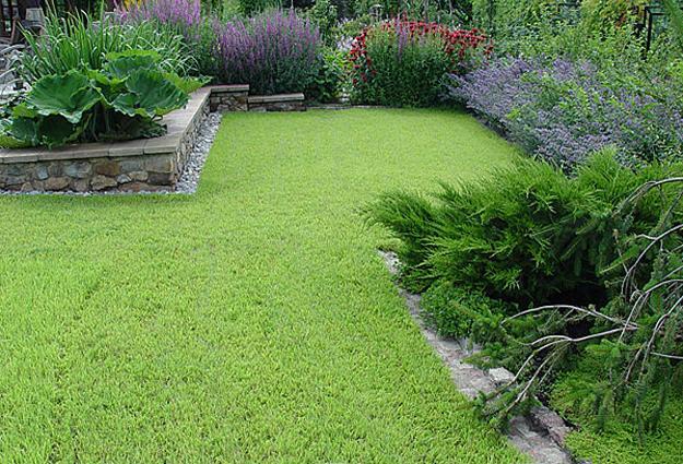 Green Lawns and Bright Yard Landscaping Ideas Celebrating 