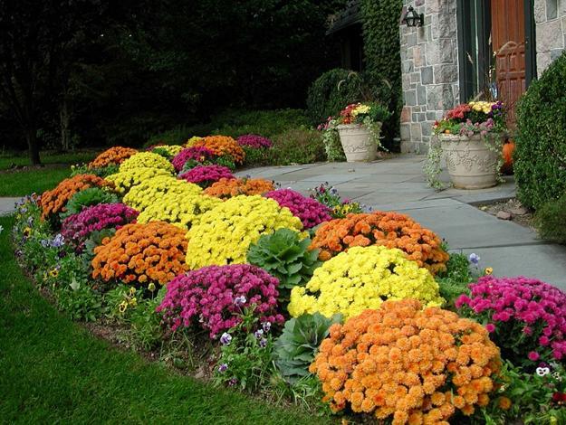 fall garden design and yard landscaping ideas