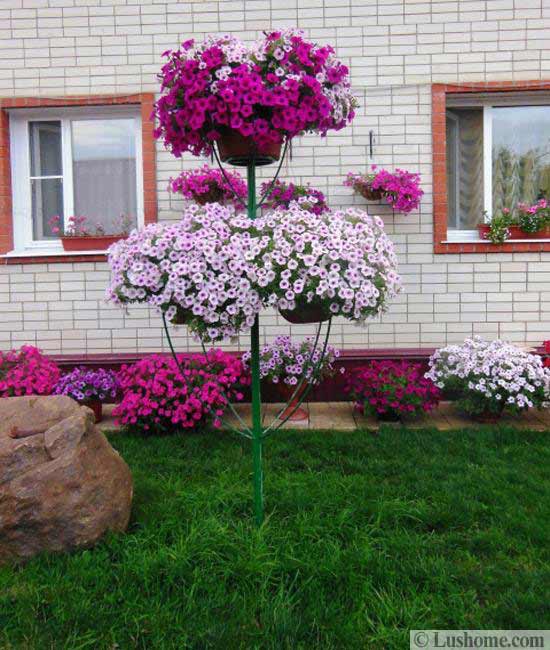 petunia centerpiece ideas for yard landscaping