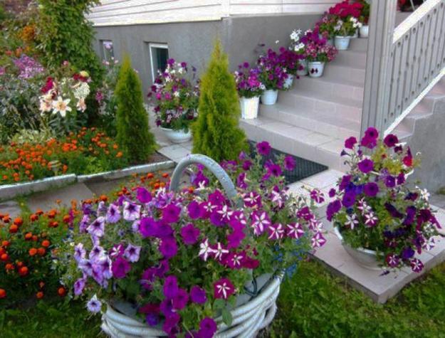 garden design petunias backyard ideas 7