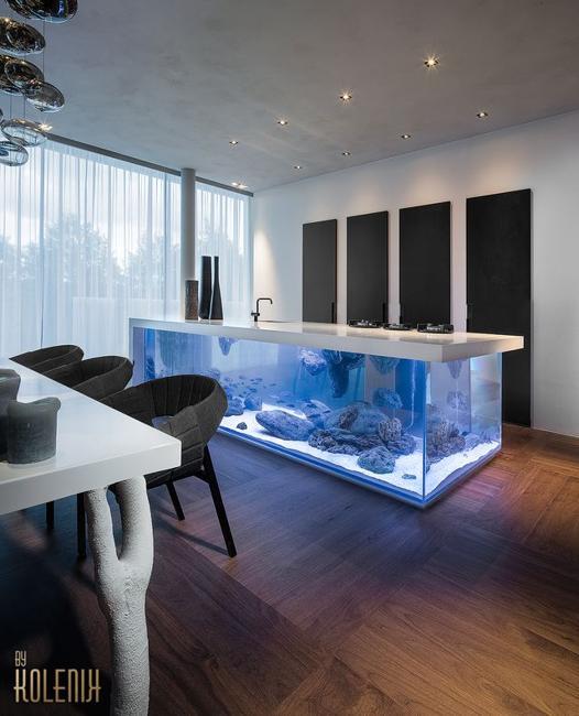 contemporary kitchen island with built in aquarium