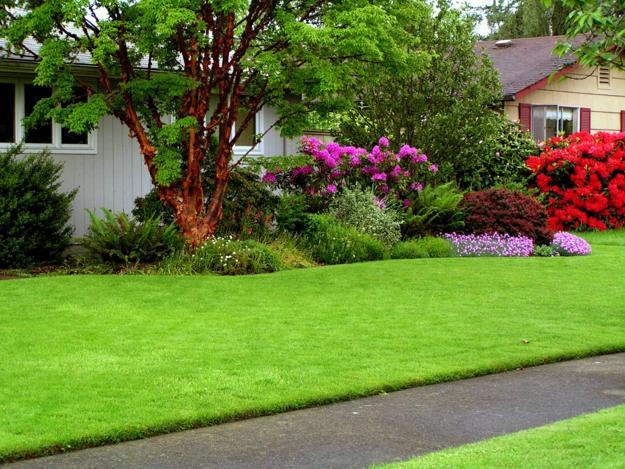 green lawn and backyard landscaping ideas