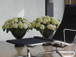 25 Modern Interior Decorating Ideas Complimented with Hydrangea Flower ... - Hydrangea Plant Arrangements For Apartment Living