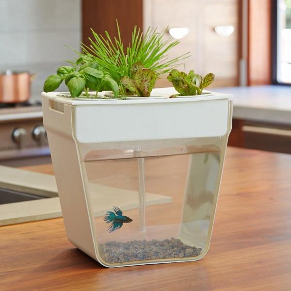 Useful Tips for Successful Interior Decorating with Aquariums