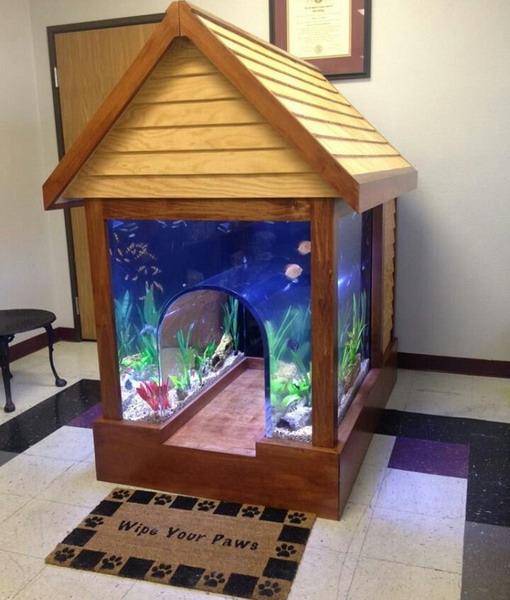 fun fish tank decorations