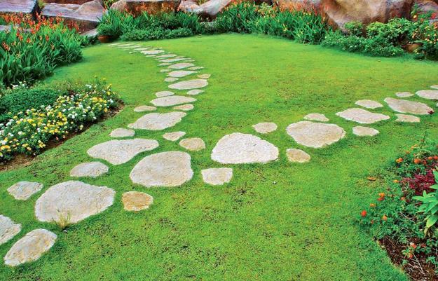 25 Yard Landscaping Ideas, Curvy Garden Path Designs to Feng Shui Homes on Feng Shui Landscaping Front Yard
 id=14368