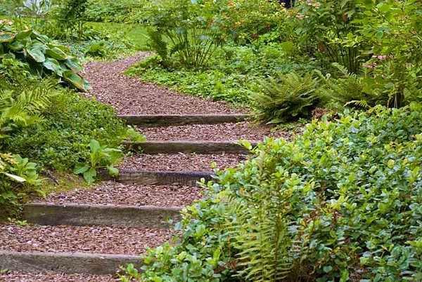 landscaping garden yard materials paths mixing create path wood designs