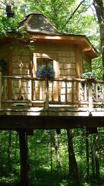 green ideas for eco friendly vacation in cabins