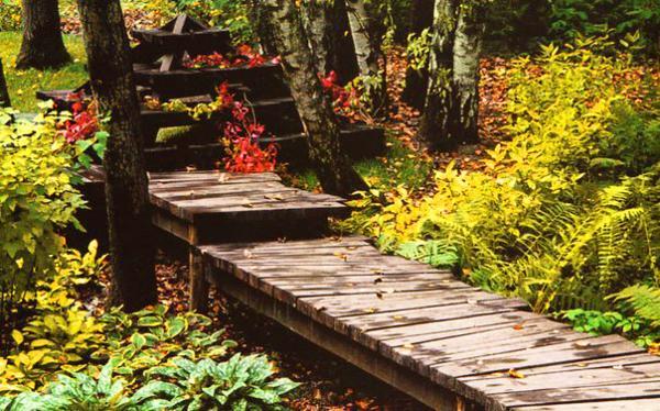 30 green design ideas for beautiful wooden garden paths