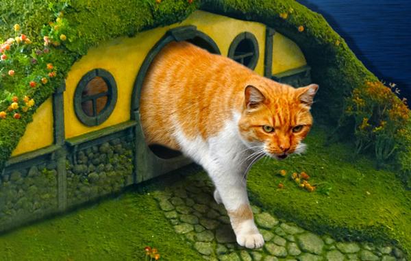 pet furniture design inspired by lord of the rings