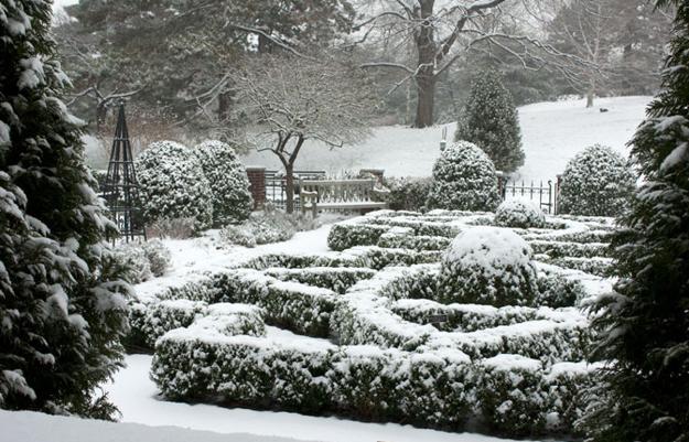 winter yard landscaping ideas