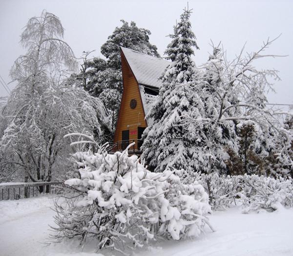 winter snow, country homes and landscapes