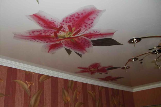 15 Unique Ceiling Designs Bedroom Decorating Ideas